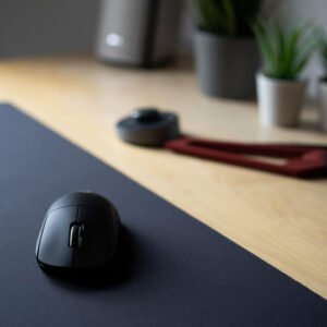 Computer Mouse